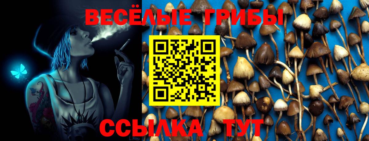 Псилоцибиновые грибы мухоморы Новосибирск